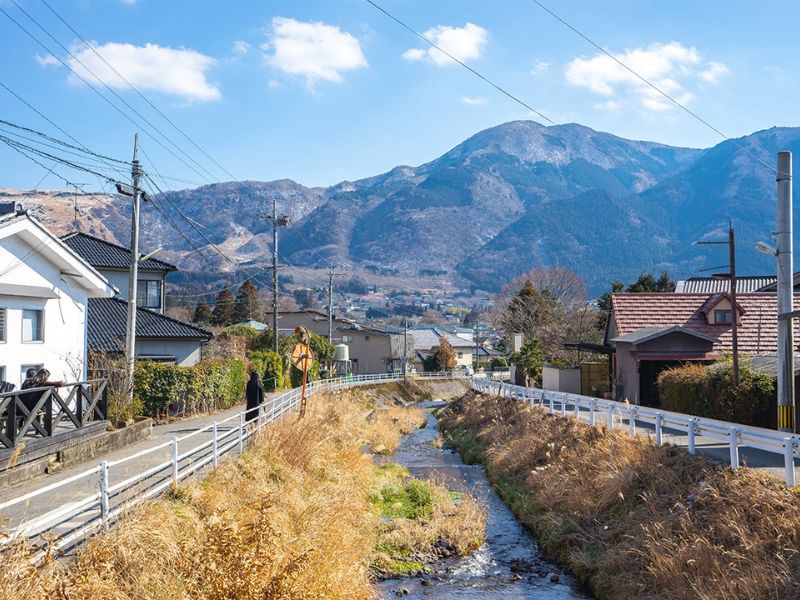 Yufu Nhật Bản: Vùng onsen bình yên giữa thiên nhiên Oita 2