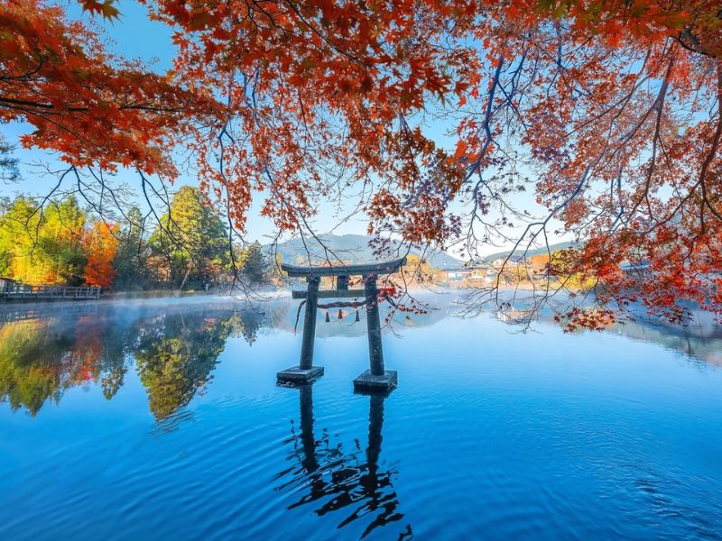 Yufu Nhật Bản: Vùng onsen bình yên giữa thiên nhiên Oita 5