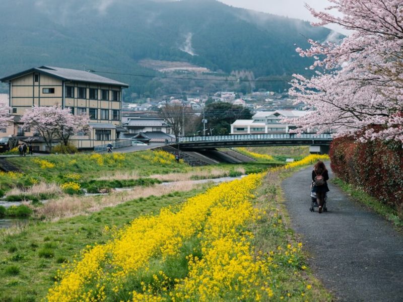 Yufu Nhật Bản: Vùng onsen bình yên giữa thiên nhiên Oita 8
