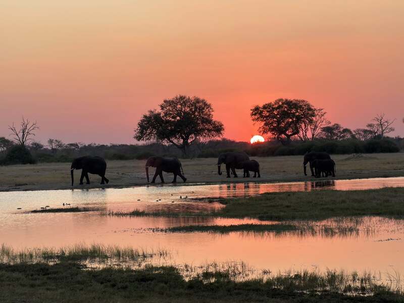 Du lịch Zimbabwe khám phá kỳ quan thiên nhiên tại châu Phi 4