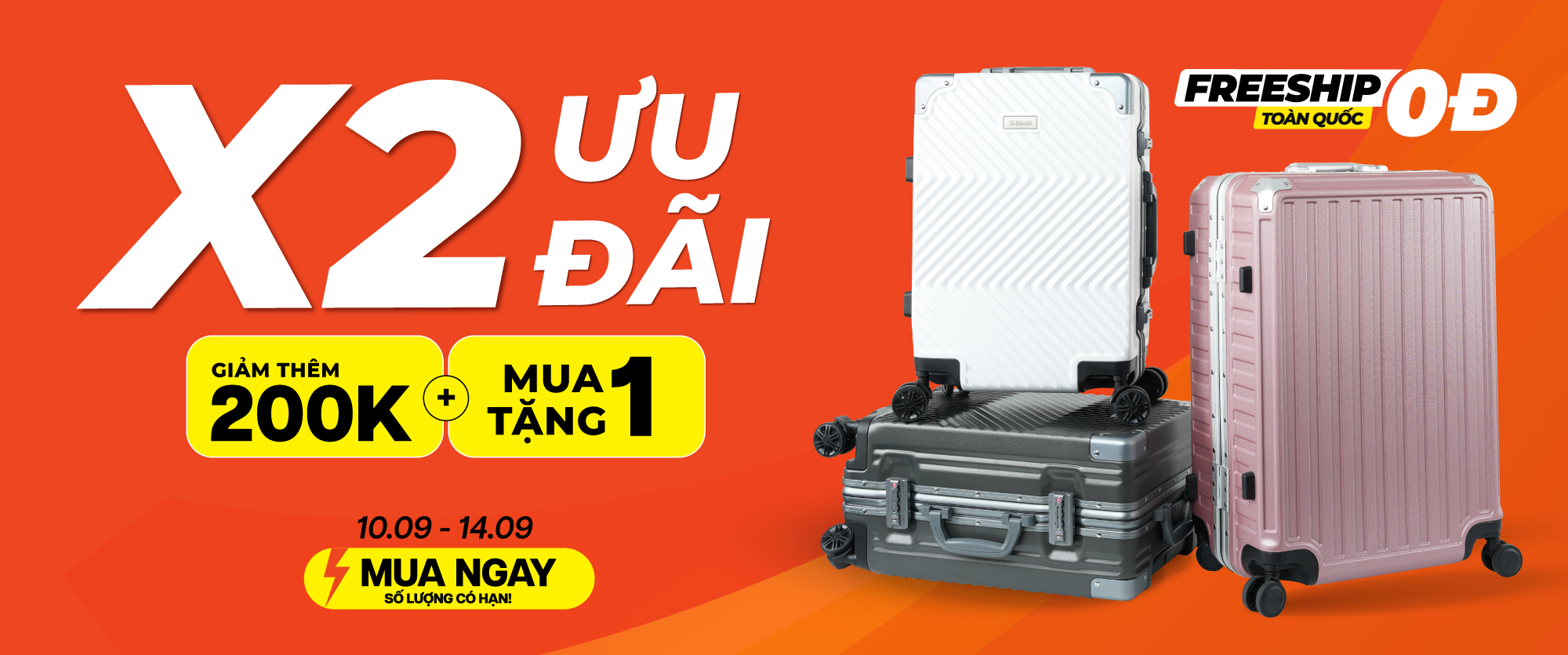 FLASH SALE 9.9