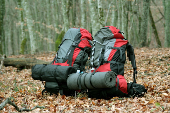 Mua balo Jack Wolfskin ở đâu đáng tin cậy