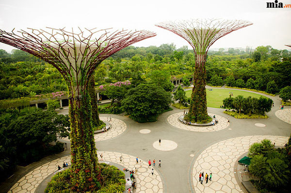 Những điều cần lưu ý khi du lịch Singapore