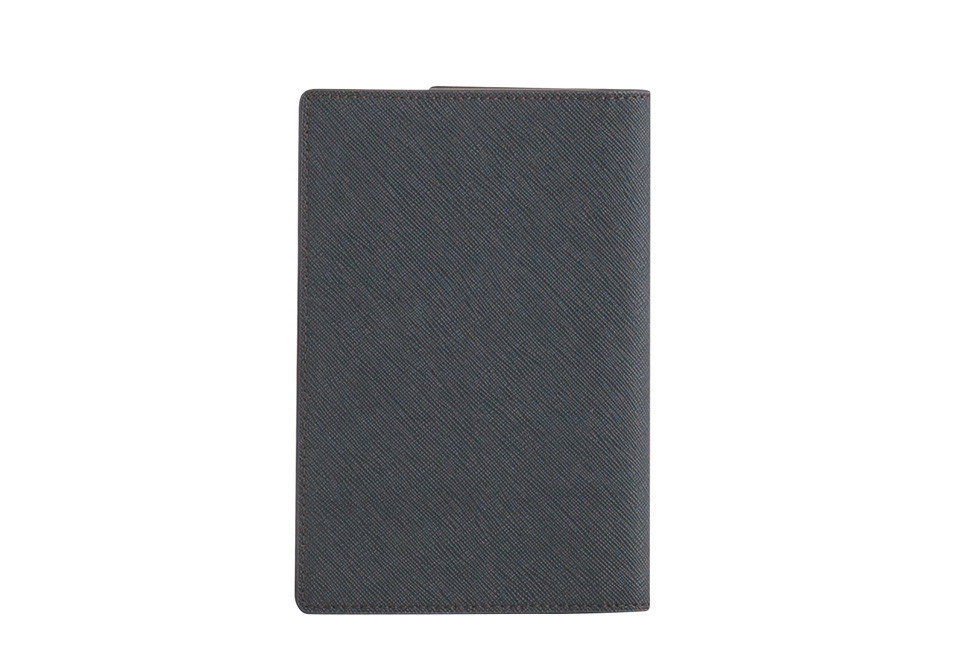 kakashi-shenda-passport-s-green2
