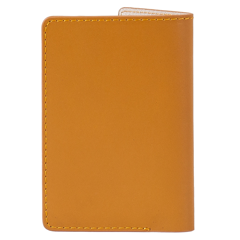 kakashi-airi-vi-passport-s-yellow4