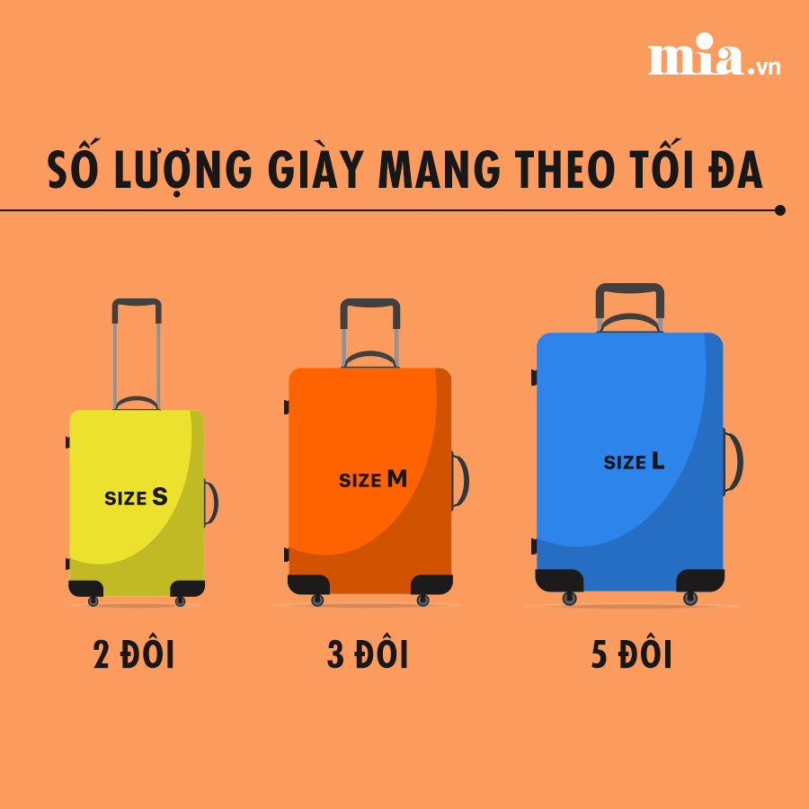 Chọn vali như thế nào là phù hợp? 7