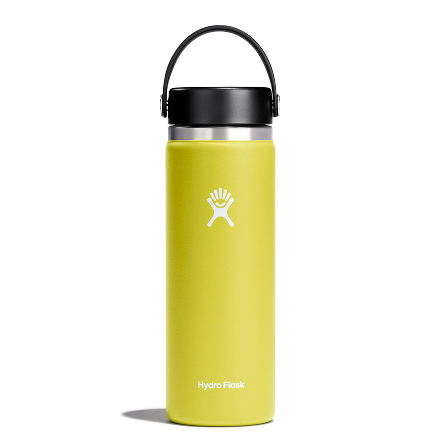 Bình nước Hydro Flask Wide Flex Cap W20BTS - 20 Oz 590ml Cactus