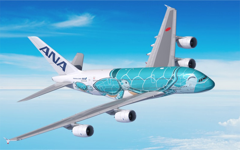 Tổng hợp các quy định về hành lý của All Nippon Airways 2