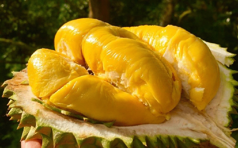 Hành lý ký gửi không được mang những gì? Những quy định mới 9