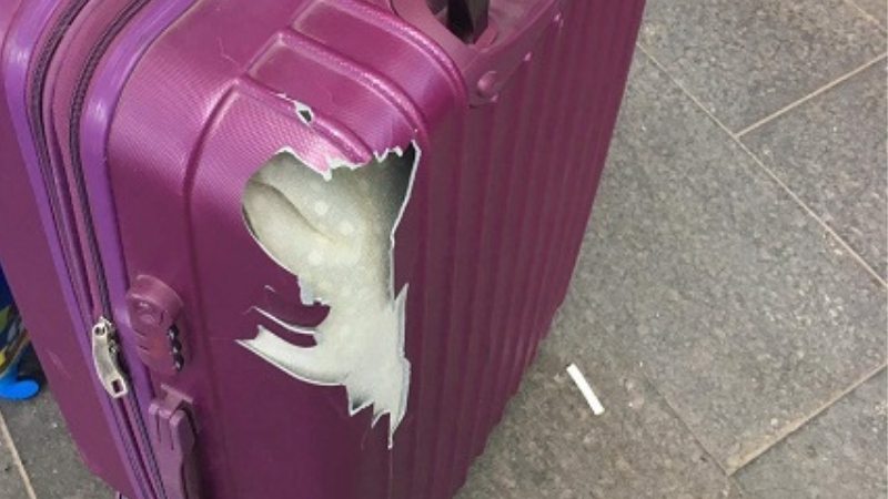 Vali nhựa có dễ vỡ không, mẹo 'chữa cháy' cho chiếc vali bị vỡ trong chuyến du lịch 5
