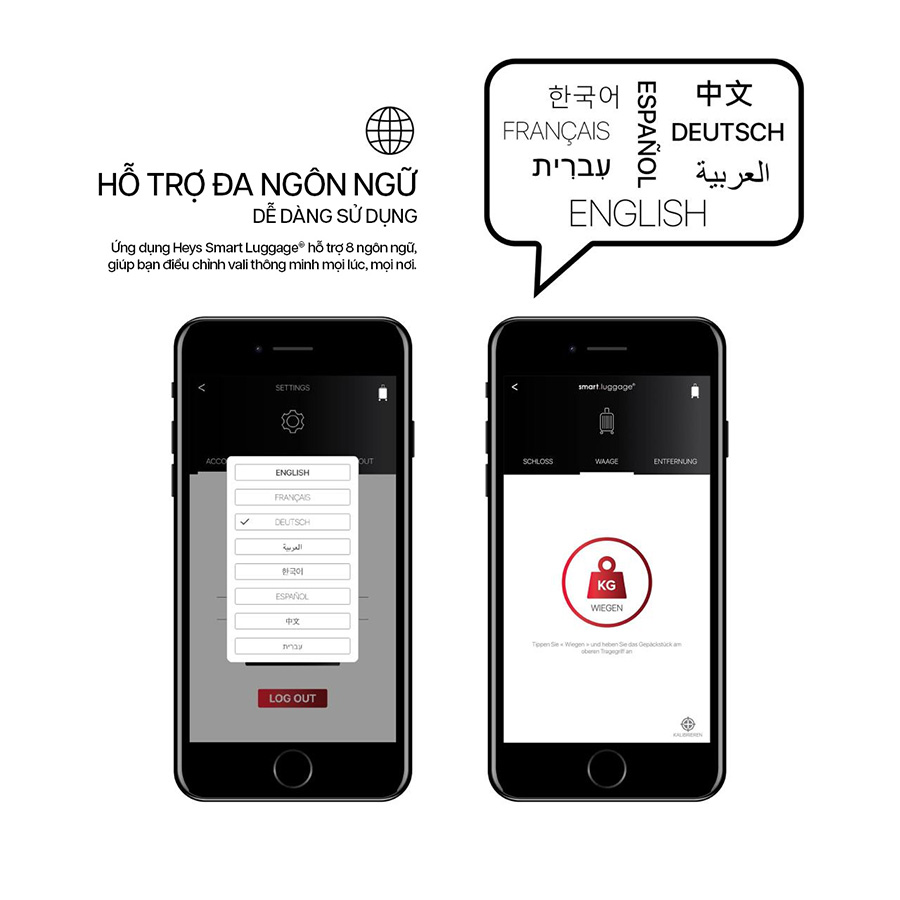 Ảnh 8