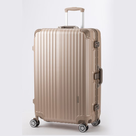 Vali Legend Walker 5516_48/20" S Champagne